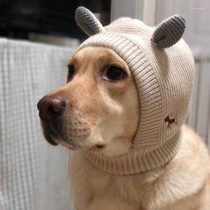 Psa odzież urocza dzianinowa kapelusz mały labrador Golden Retriever Greyhound Hats Akcesoria Cat Pet Pet
