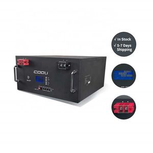 Cooli Najlepsza jakość producenta China 48V 200AH LifePo4 z BMS i baterią litową LCD