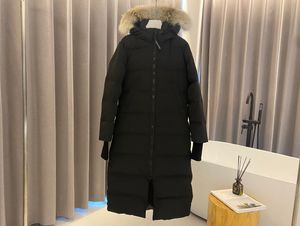 BB N41221 herrar ner parkas tyg antar fjäderljus 10d vattentät beläggningstyg gjord av 84,5% polyesterfiber och 15,5% bomull Bruce Zhang-kvalitet