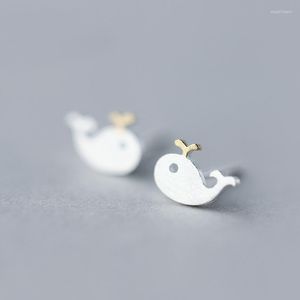 Studörhängen MloveAcc 2023 925 Sterling Silver Cute Whale Small Animal for Women Fashion Jewelry Girls