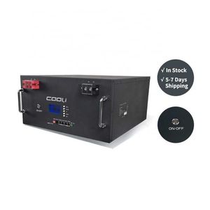 Deep Cycle 48v lithium ion battery 5kw lithium Battery Off Grid Power Supply With Built in BMS Lithium Battery 48V 100Ah
