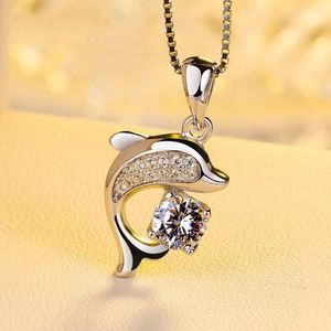 Hänghalsband charm för kvinnor zirkonia delfin fisk halsbandslåda kedja collier femme choker bröllop smycken tillbehör