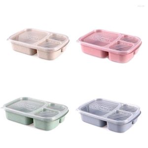 Set di stoviglie Contenitori per insalata Ciotole Contenitore per il pranzo Bento Box Materiale per paglia di grano