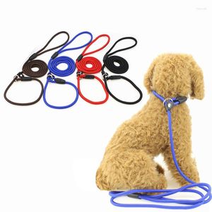 Dog Collars Collar Traction Rope Outdoor Anti-lost Nylon Ropes Training Leash Slip Lead Strap Adjustable Pet Accessories