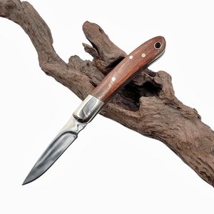Top Quality H6882 Kitchen Fruit Folding Knife 420C Satin Blade Wood with Brass Head Handle Small EDC Pocket Folder knives
