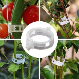 Garden dostarcza inne 50pc niewidzialny ściana rattan rattan klip Clamp Plant Climbing Vines Optora Sticky Hook Uchwyt