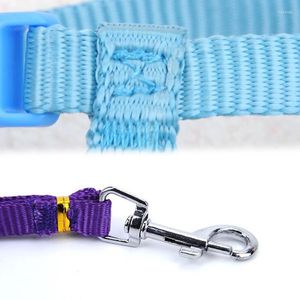 Dog Collars Cute Funny Angel Pet Wings Leash And Set Puppy Leads For Small Dogs Cats Designer Adjustable Harness Accessories