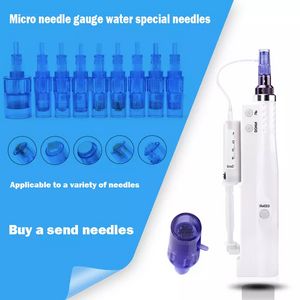 Beauty Items 2 in 1 Portable Beauty Pen 12 Pin Needles and Tube Meso Therapy skin Care Machine