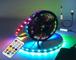 Strips LED Strip Bluetooth RF Controller RGB Individually Addressable Light DC 5VLED StripsLED2911754