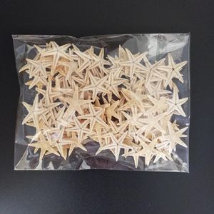 Neuheit Gegenstände Muschelgröße: 1,8-3 cm 100pcs Mini Seestarfish Craft Decoration Natural Stars DIY Beach Cottage Hochzeit Dekor Handwerk