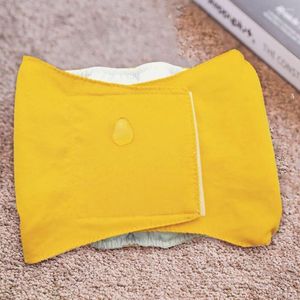 Dog Apparel Fashion Pet Underwear Leak-proof Colorful Sanitary Pant Cotton Diaper For Puppy