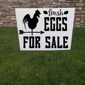 Muurstickers verse eieren te koop tuin bord boer sticker boeren Market road stake sticker kip decor