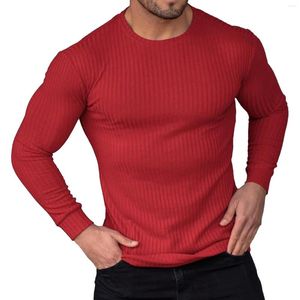 Men's T Shirts Men's Clothing Ribbed T-shirt Solid Color Slim Fitted Round Neck Tee Tops Sports Fitness Costume Casual Long Sleeve