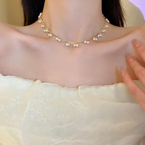 Choker Pure Gold Electropated Crystal Freshwater Pearl Necklace Small and Fresh All-Match ClaVicle Chain High Sense Col