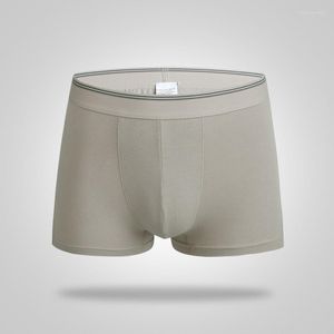 Underpants 6 Color Big Size White Shorts Men Brand Boxers Cotton Spandex Underwear Man Mid-Rise Male Gay 3pcs Lot