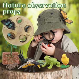 Wissenschaftliche Entdeckung Kinder Simulation Biologie Modell Spielzeug Tier Pflanzenleben Wachstumszyklus Montessori Kinderspielzeug Set Lehrmittel Lernspielzeug Y2303
