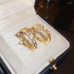 Orecchini a cerchio alla moda a forma di serpente per donna ragazza color oro Mirco pavimenta zircone dichiarazione gioielli per feste regali bijoux