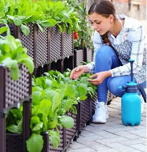 Vasi per fioriere Scatola per piantare semplice e moderna Rettangolo Famiglia Balcone Vaso per piante in plastica super grande per fiori all'aperto