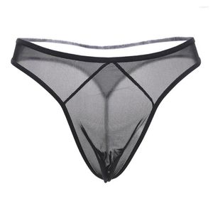 Unterhosen Ultradünne sexy Herren-Tangas, transparentes Netzwerkgarn, niedrige Taille, Unterwäsche, The Temptation T-Hosen, G-String-Tangas