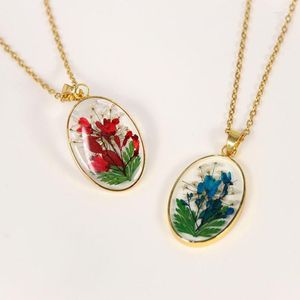 Chains Creative Pressed Flower Necklace Gifts Unique Dried Real Pendant Necklaces Women Long Sweater Chain Jewelry Wholesale