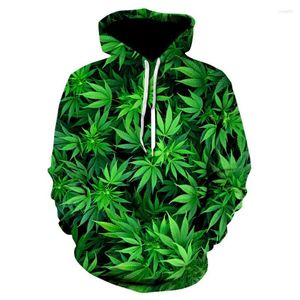 Erkek Hoodies 2023 Kış Yeşil 3d Baskı Hoodie Harajuku Erkekler/Kadın Sweatshirt Sıradan Moda Pullover Karikatür Serin Camisetas