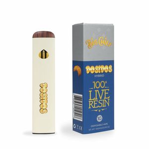 Big Chief Live Resin HYBRID SATIVA Disposable Vape Pens Empty 1ml 1000mg Pods 280mAh Battery For Thick Oil E Cigarettes USB Charger Starter Kits