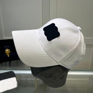 Einfache Stickerei Designer Ball Caps Tiger Schlange Baseball Kappe Für Männer Frauen Mode Marke Hüte Casquette Straße Mit Voller Brief sommer Sonne Kappe