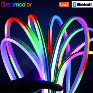 LED -remsor LED Neon Strip Light 12V RGBIC DreamColor Flexible LED Strip Light WS2811 Dimble Chasing Strip Tape Remote/Bluetooth/Tuya WiFi J230308