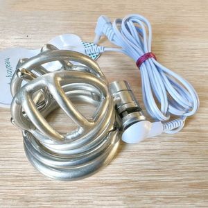 PA Male Chastity Devices Electric Cock Lock Prince Albert Wands Men Penis Ring Impaler Device Restraint Steel Cage Metal Lock Slaves Bondage Bdsm Fetish Toys Gays Cbt