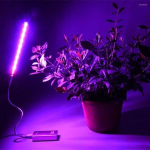 Coltiva le luci DC5V LED Lampada per coltivazione di piante Lampadina 14LEDs USB portatile Spettro completo Fito Crescita Luce per piante grasse