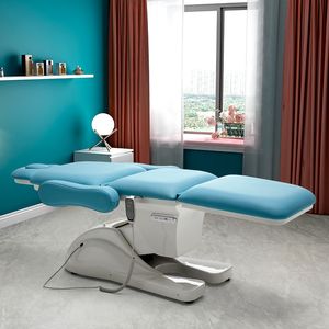 Multifunktionell ansiktsskönhetsbädd Electric Massage Table Nordeuropeisk design för salonghemanvändning