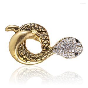 Brooches And American Wind Restoring Ancient Ways Alloy Hip Hop Punk Pin Cobras Man Spot Brooch Garment Accessories Wholesale