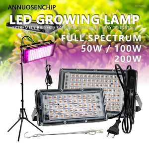 Grow Lights Full Spectrum LED Plant Light 50W 100W 200W AC 220V Custodia in alluminio Treppiede Verdura Frutta Fiore Serra per interni Lampada di riempimento