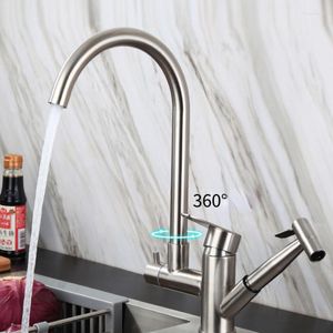 Kitchen Faucets Faucet With Spray 304 Stainless Steel Rinse Brushed Cold Tap Torneira Gourmet De Cozinha