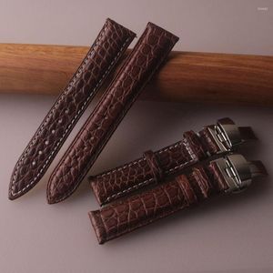 Assistir bandas Bandas Genuínas Aligator Banda de couro Telas acessórios de luxo Brown 16 18 20 21 22mm Crocodile Watch Band Mens Ladys pulsos