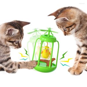 Cat Toys Pet Toy Self-Healing Artifact Sunda Windmill Bird Cage retande och skivspelare Tumbler Education Kitten