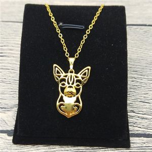 Colares pendentes Chihuahua colar estilo moda mulher jóias de animais de estimação cão de animais
