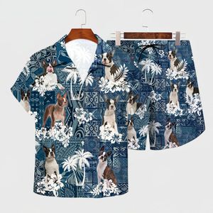 Testros masculinos Boston Terrier Hawaiian Set 3D em toda a impressora Hawaii Shirt Shorts Men para mulheres Dog Funny Sunmmer Roupas 230311