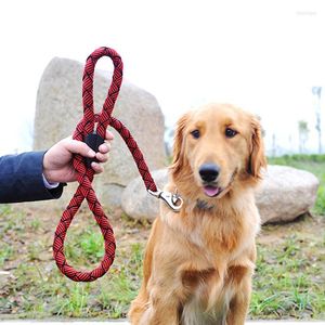 Collari per cani Imbracatura per guinzaglio grande Nylon ispessito Guinzaglio grande Catena viziosa di alta qualità per cani 120 cm Animali domestici