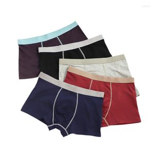 Unterhosen Hohe Qualität Baumwolle Höschen Männer L-4XL Atmungsaktive Unterwäsche Einfache Solide Mode Boxershorts Mann Fabrik Direkt Boxer