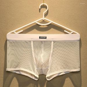 Underpants Cockcon Transparent Men Panties Mesh Boxers Shorts Sexy Erotic Underwear Penis Pouch Gay Fishnet See Shrough Lingerie Male