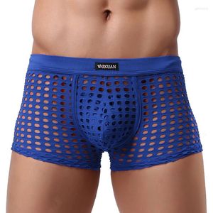 Mutande Boxer da uomo Pantaloncini Mutandine Sissy Sexy See Through Lingerie Fishnet Hollow Out Mesh Maschile Pouch Boxer Intimo Gay