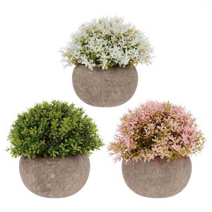 Dekoratif çiçekler yapay sahte mini bonsai etli düğün saksı dekorasyon masası partisi gerçekçi sahte kapalı ev ev dekor