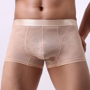 Unterhosen 2023 Atmungsaktive Sexy Herren Boxershorts Eis Seide Weiche Männer Unterwäsche Cueca Homme Plus Größe M-XXL