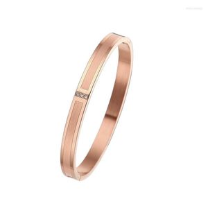 Armreif Damen Hochzeit Schmuck Großhandel Titan Stahl Streifen Zirkon Fassung Roségold Farbe 6mm