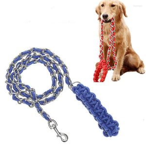 Dog Collars Metal Chain Leash Slip Lead For Medium Large Dogs Powerful Control Collar Set Bite Resistant Sturdy Belt