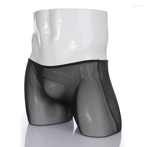 Underbyxor svarta underkläder män cueca boxer mens transparenta sexiga man trosor underbundna genomskinliga shorts