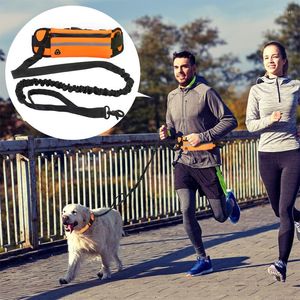 Hundhalsar reflekterande elastisk sport fanny pack koppel set dragkraft husdjur löpande bälte händer gratis jogging pull