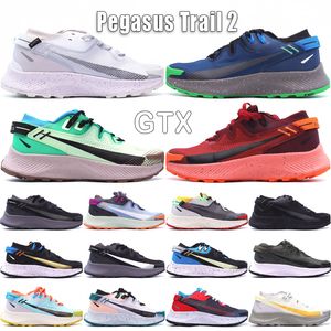 حذاء الجري Pegasus Trail 2 GTX للرجال والنساء 2s مصمم من البلاتين النقي الداكن والأخضر والأزرق والأسود المعدني والرمادي الداكن Barely Volt Poison Green أحذية رياضية خارجية مقاس 36-45
