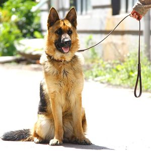 Collari per cani guinzaglio guinzaglio in pelle fatto a mano marrone scuro nero con gancio dorato per addestramento a piedi tutte le razze 4 taglie forniture per animali domestici